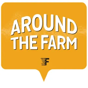 Around The Farm